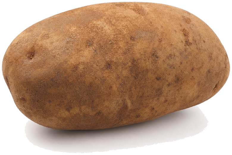 A whole russet potato